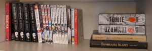 Read more about the article How Manga Took Over My Bookshelf — and the World!